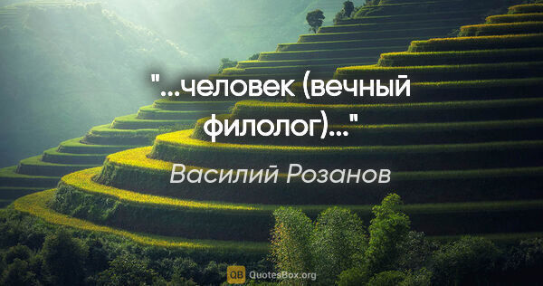 Василий Розанов цитата: "...человек (вечный филолог)..."