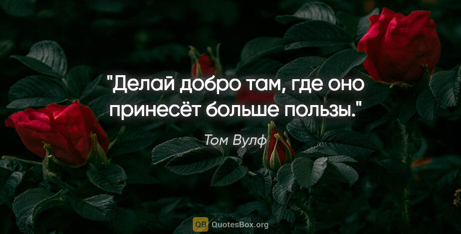 Том Вулф цитата: "Делай добро там, где оно принесёт больше пользы."