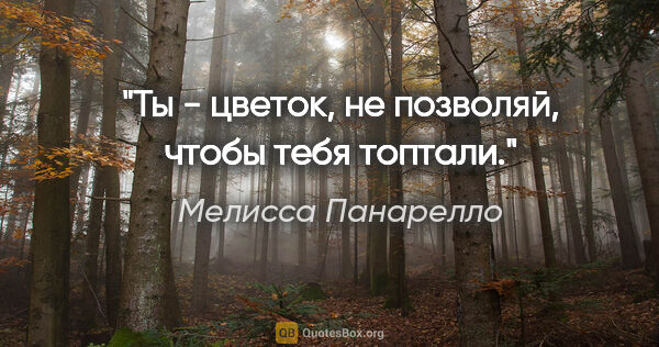 Мелисса Панарелло цитата: "Ты - цветок, не позволяй, чтобы тебя топтали."