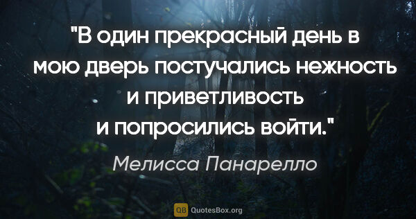 Мелисса Панарелло цитата: "В один прекрасный день в мою дверь постучались нежность и..."