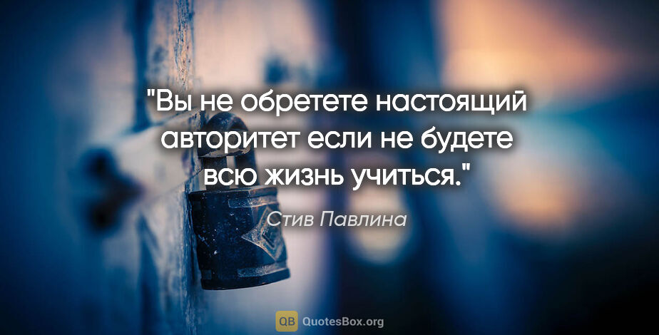 Стив Павлина цитата: "Вы не обретете настоящий авторитет если не будете всю жизнь..."