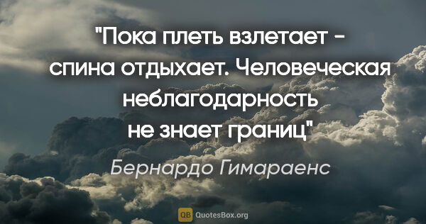 Бернардо Гимараенс цитата: "Пока плеть взлетает - спина отдыхает. Человеческая..."