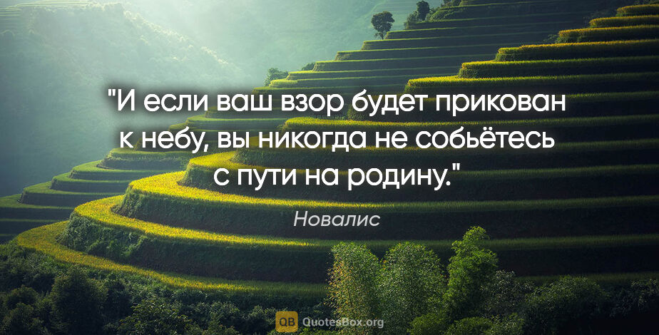 Новалис цитата: "И если ваш взор будет прикован к небу, вы никогда не собьётесь..."