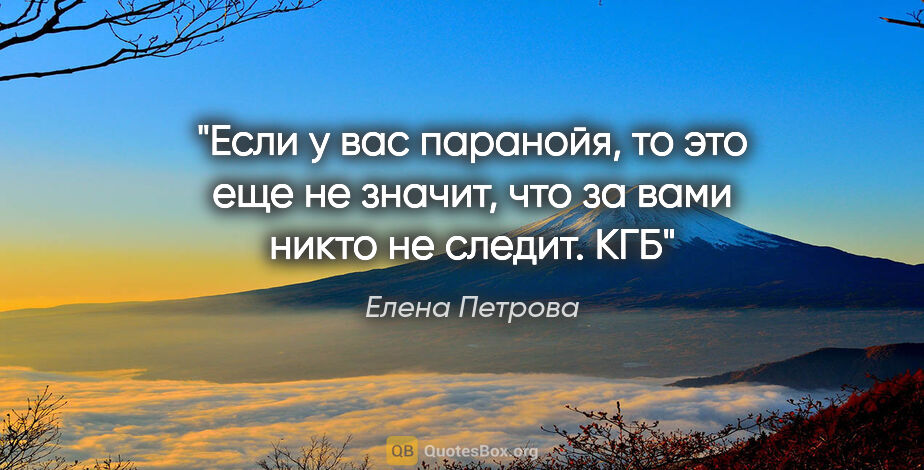 Елена Петрова цитата: "Если у вас паранойя, то это еще не значит, что за вами никто..."