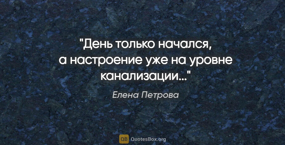 Елена Петрова цитата: "День только начался, а настроение уже на уровне канализации..."