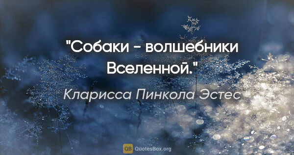 Кларисса Пинкола Эстес цитата: "Собаки - волшебники Вселенной."