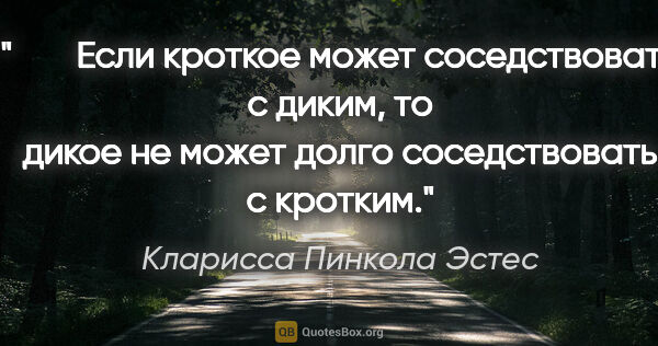 Кларисса Пинкола Эстес цитата: "    Если кроткое может соседствовать с диким, то дикое не..."