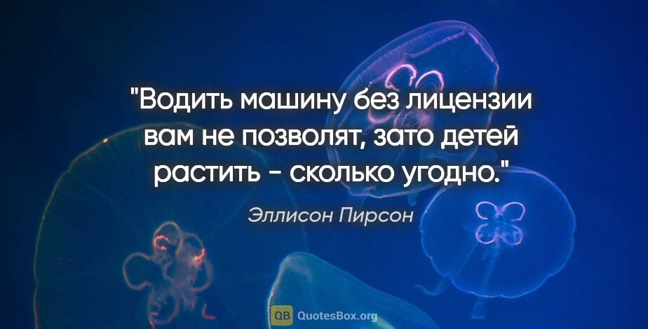 Эллисон Пирсон цитата: "Водить машину без лицензии вам не позволят, зато детей растить..."