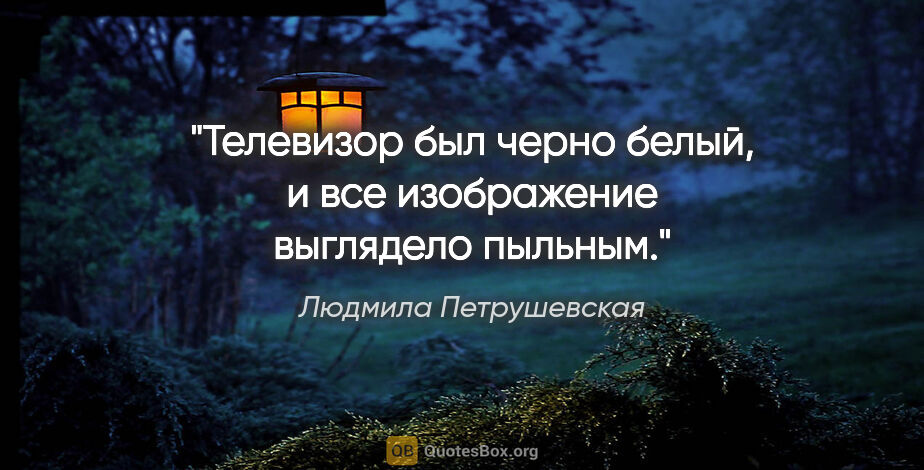 Людмила Петрушевская цитата: "Телевизор был черно белый, и все изображение выглядело пыльным."