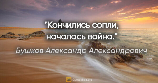 Бушков Александр Александрович цитата: "Кончились сопли, началась война."