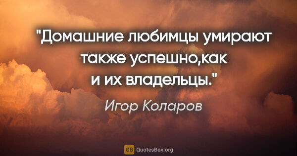 Игор Коларов цитата: "Домашние любимцы умирают также успешно,как и их владельцы."