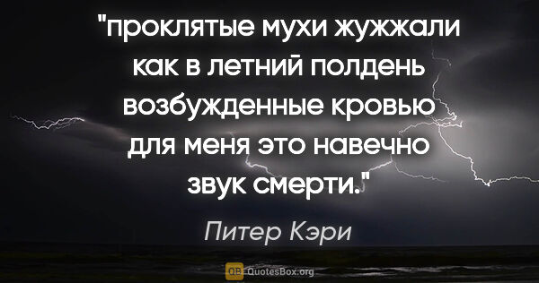 Питер Кэри цитата: "проклятые мухи жужжали как в летний полдень возбужденные..."