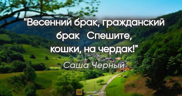 Саша Черный цитата: ""Весенний брак, гражданский брак  

Спешите, кошки, на чердак!""