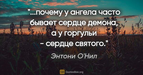 Энтони О'Нил цитата: "почему у ангела часто бывает сердце демона, а у горгульи -..."