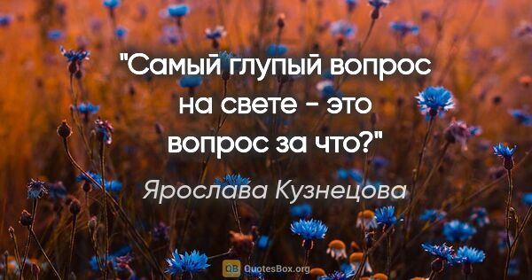 Ярослава Кузнецова цитата: "Самый глупый вопрос на свете - это вопрос "за что?""