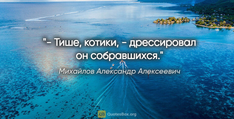 Михайлов Александр Алексеевич цитата: "- Тише, котики, - дрессировал он собравшихся."