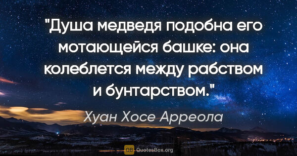 Хуан Хосе Арреола цитата: "Душа медведя подобна его мотающейся башке: она колеблется..."