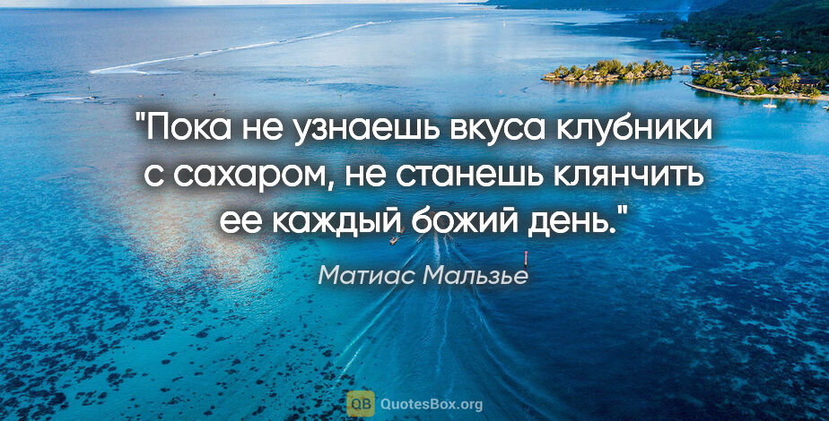 Матиас Мальзье цитата: "Пока не узнаешь вкуса клубники с сахаром, не станешь клянчить..."