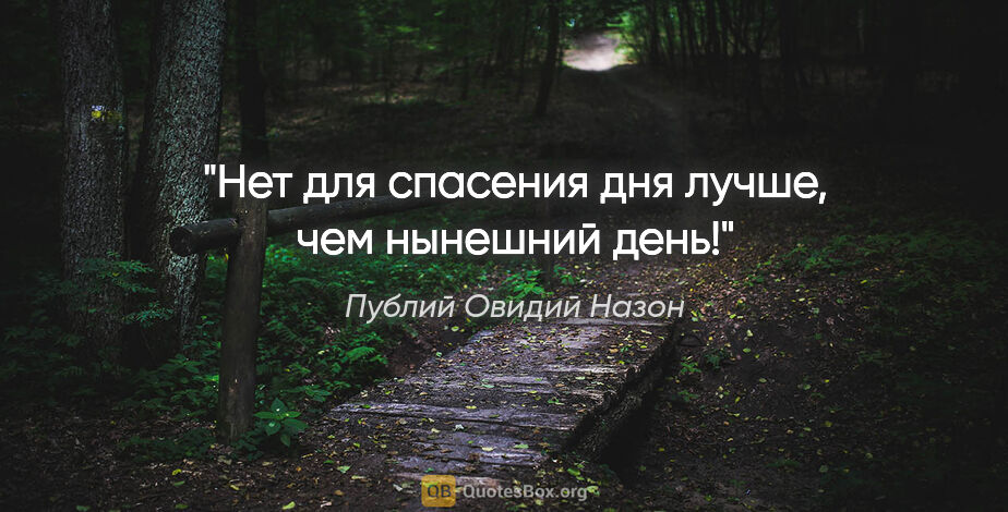 Публий Овидий Назон цитата: "Нет для спасения дня лучше, чем нынешний день!"