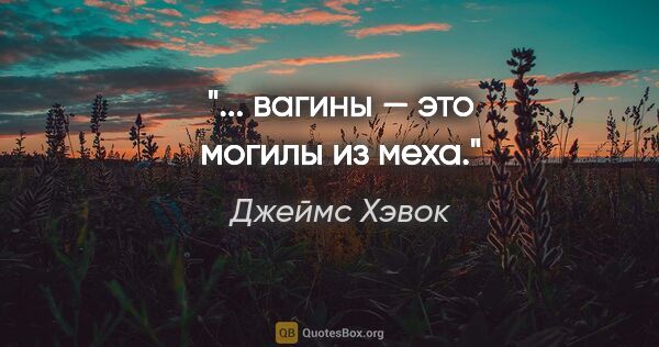 Джеймс Хэвок цитата: "... вагины — это могилы из меха."