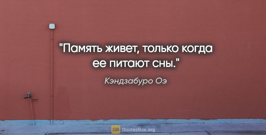 Кэндзабуро Оэ цитата: "Память живет, только когда ее питают сны."