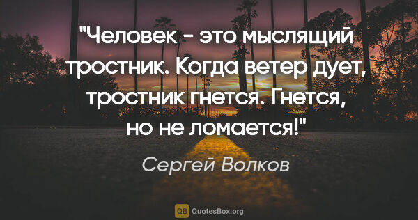 Сергей Волков цитата: "Человек - это мыслящий тростник. Когда ветер дует, тростник..."