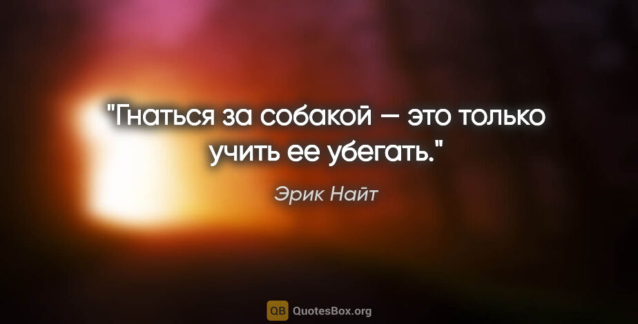 Эрик Найт цитата: "Гнаться за собакой — это только учить ее убегать."