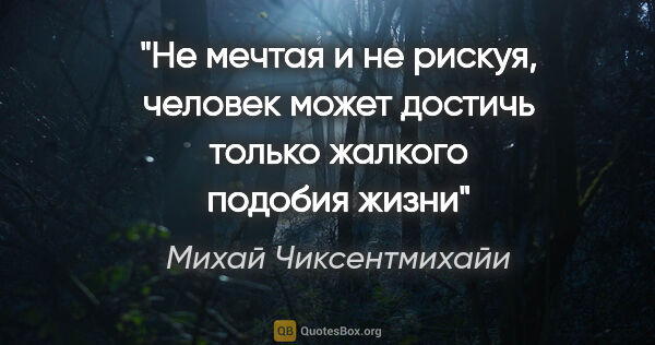 Михай Чиксентмихайи цитата: "Не мечтая и не рискуя, человек может достичь только жалкого..."