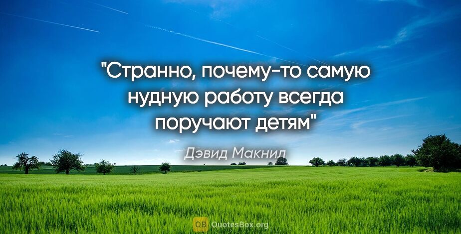 Дэвид Макнил цитата: "Странно, почему-то самую нудную работу всегда поручают детям"