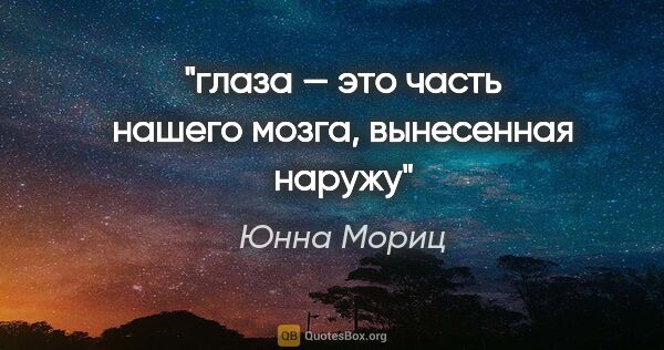 Юнна Мориц цитата: "глаза — это часть нашего мозга, вынесенная наружу"