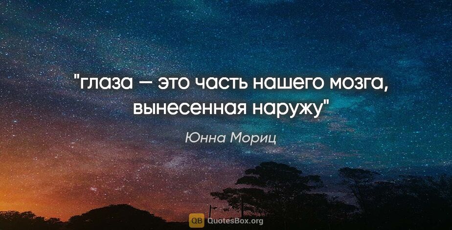 Юнна Мориц цитата: "глаза — это часть нашего мозга, вынесенная наружу"