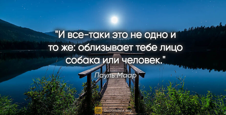 Пауль Маар цитата: "И все-таки это не одно и то же: облизывает тебе лицо собака..."