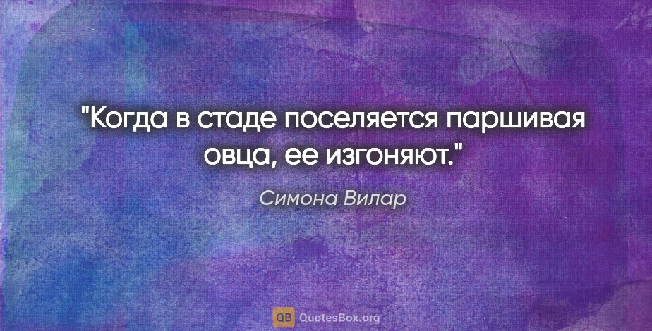 Симона Вилар цитата: "Когда в стаде поселяется паршивая овца, ее изгоняют."