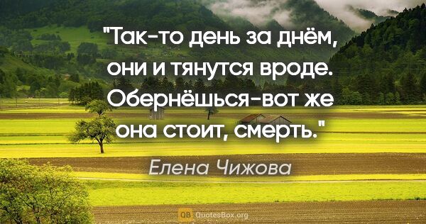 Елена Чижова цитата: "Так-то день за днём, они и тянутся вроде. Обернёшься-вот же..."