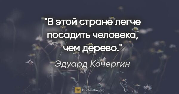 Эдуард Кочергин цитата: "В этой стране легче посадить человека, чем дерево."