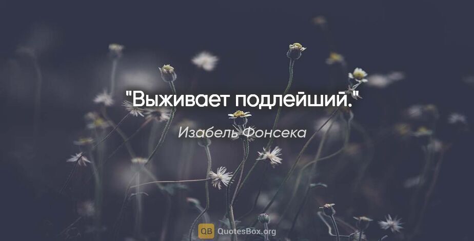 Изабель Фонсека цитата: "Выживает подлейший."