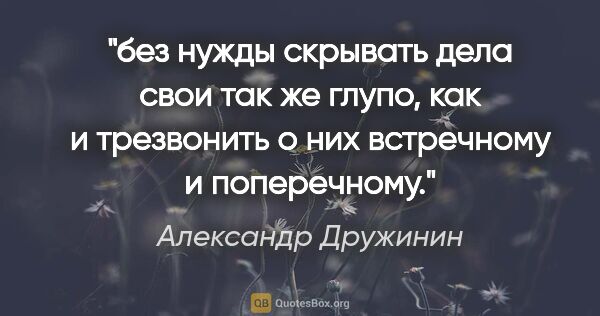 Александр Дружинин цитата: "без нужды скрывать дела свои так же глупо, как и трезвонить о..."