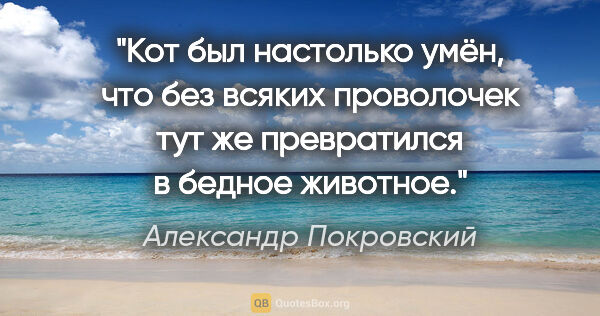 Александр Покровский цитата: "Кот был настолько умён, что без всяких проволочек тут же..."