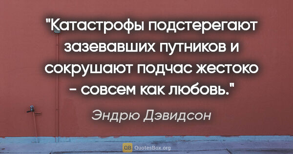 Эндрю Дэвидсон цитата: "Катастрофы подстерегают зазевавших путников и сокрушают подчас..."