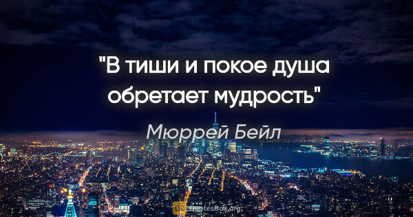 Мюррей Бейл цитата: "В тиши и покое душа обретает мудрость"