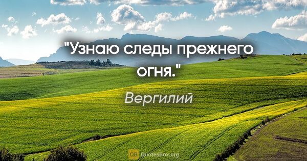 Вергилий цитата: "Узнаю следы прежнего огня."