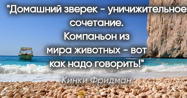 Кинки Фридман цитата: "Домашний зверек - уничижительное сочетание. Компаньон из мира..."