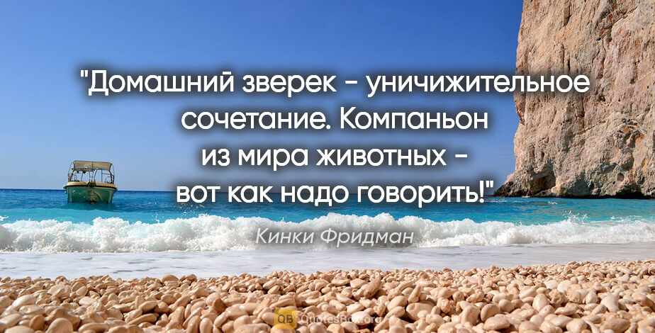 Кинки Фридман цитата: "Домашний зверек - уничижительное сочетание. Компаньон из мира..."