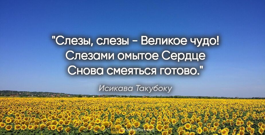 Исикава Такубоку цитата: "Слезы, слезы -

Великое чудо!

Слезами омытое

Сердце

Снова..."