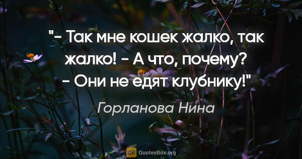 Горланова Нина цитата: "- Так мне кошек жалко, так жалко!

- А что, почему?

- Они не..."