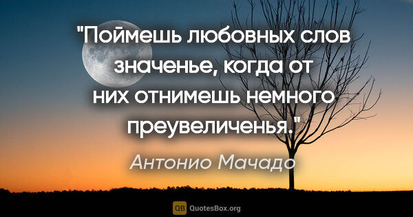 Антонио Мачадо цитата: "Поймешь любовных слов значенье,

когда от них..."