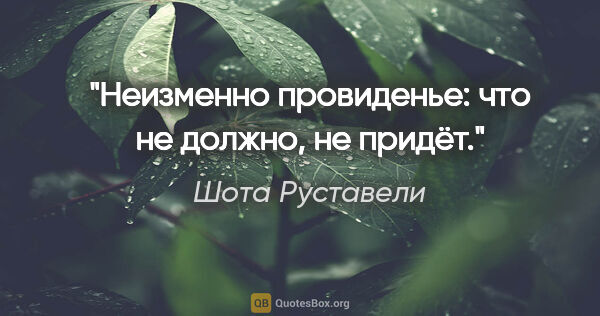 Шота Руставели цитата: "Неизменно провиденье: что не должно, не придёт."