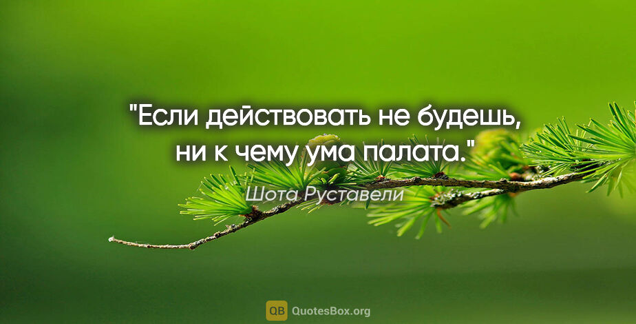 Шота Руставели цитата: "Если действовать не будешь, ни к чему ума палата."