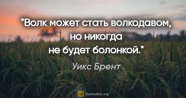 Уикс Брент цитата: "Волк может стать волкодавом, но никогда не будет болонкой."