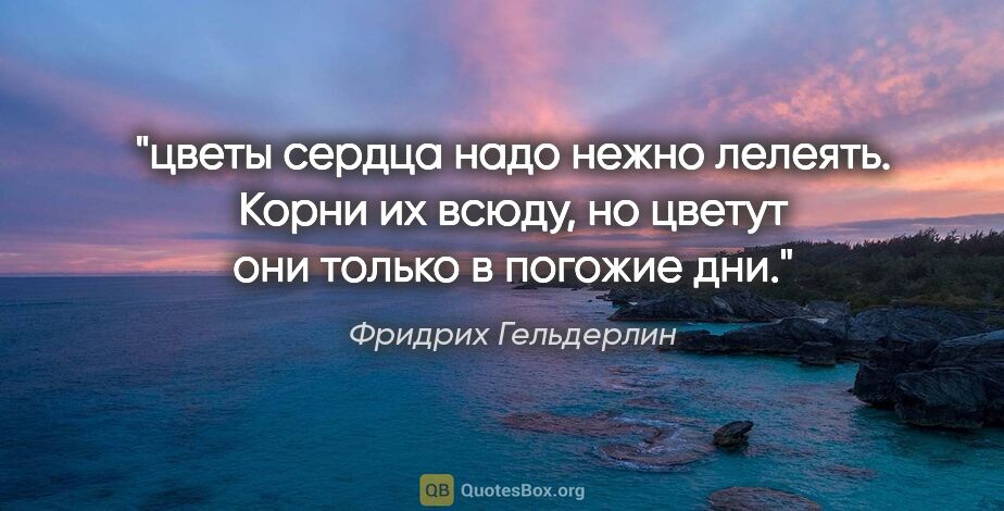 Фридрих Гельдерлин цитата: "цветы сердца надо нежно лелеять. Корни их всюду, но цветут они..."